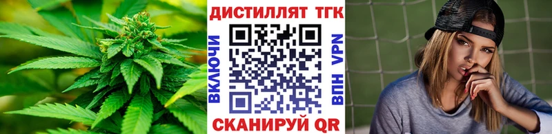 Купить где  Кузнецк  ТГК концентрат 